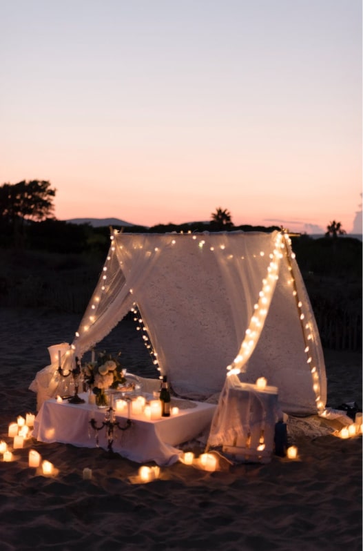 Moonlit Moments